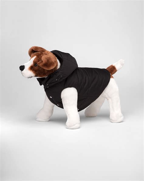 prada dog jacket.